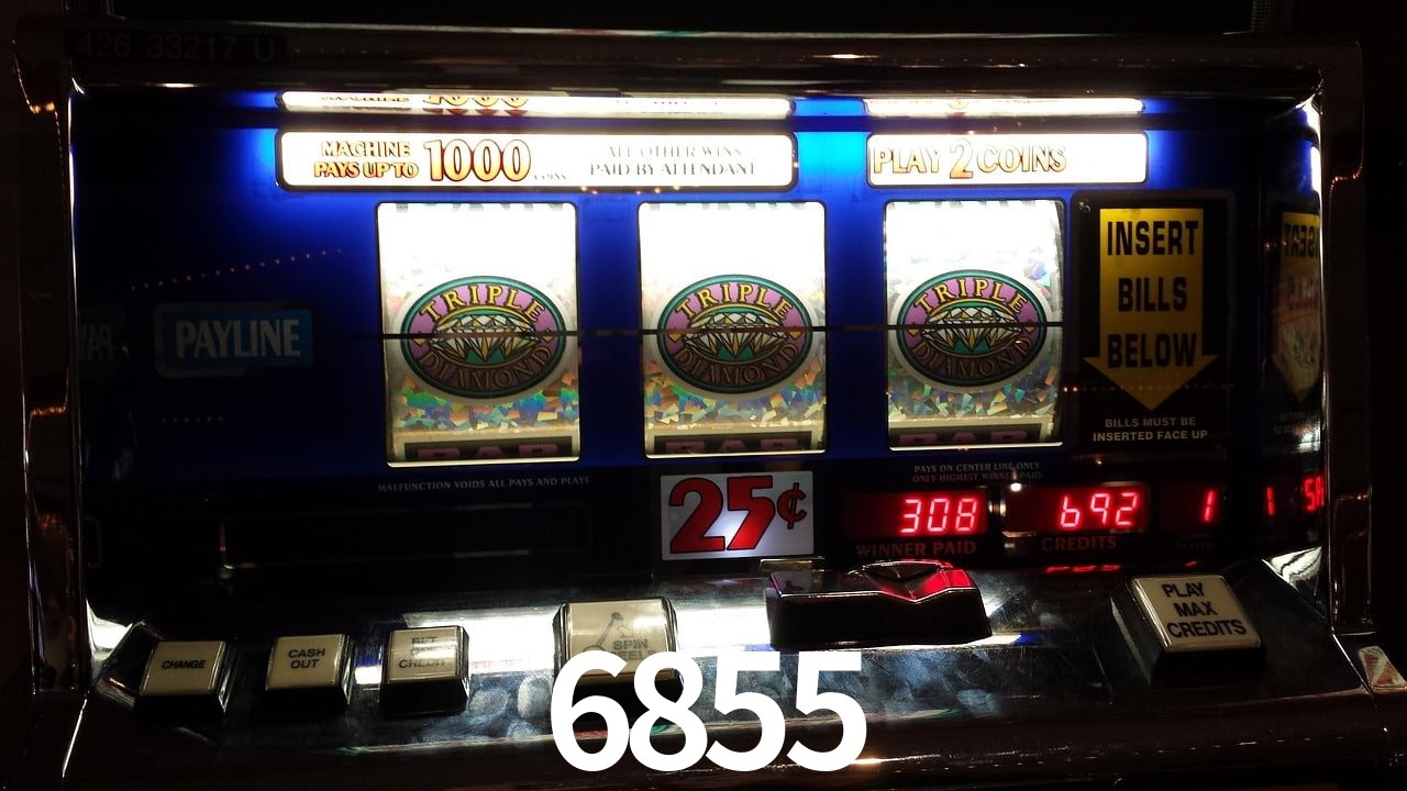 Sports Statistics 6855