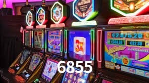 Programa VIP 6855